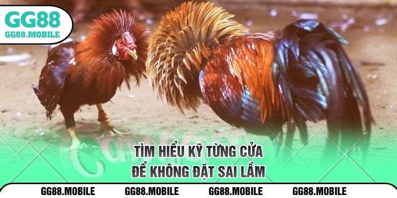 Tìm hiểu kỹ từng cửa để không đặt sai lầm
